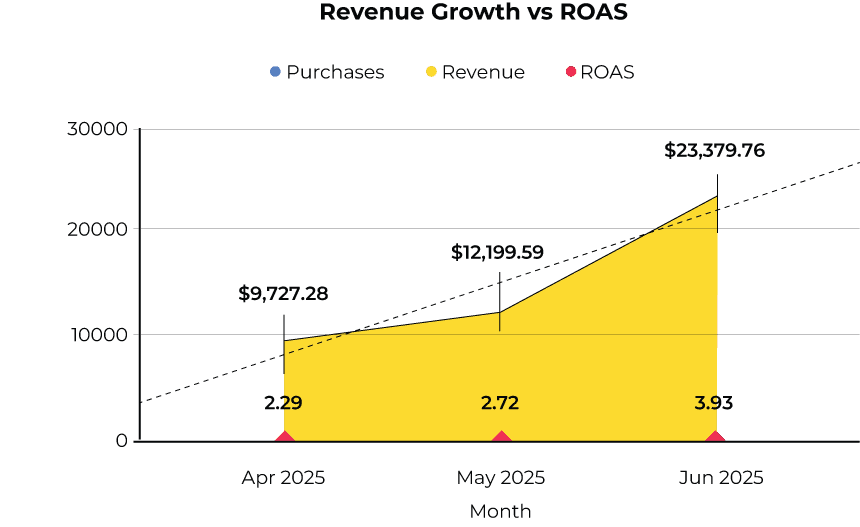Revenue Growth Chart