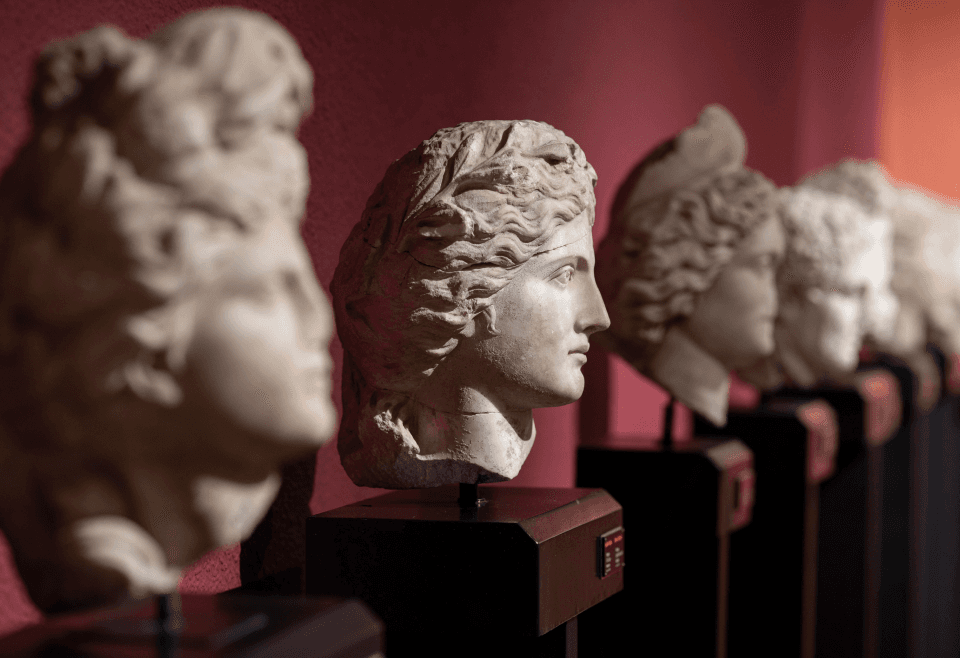 Platform Insights Image