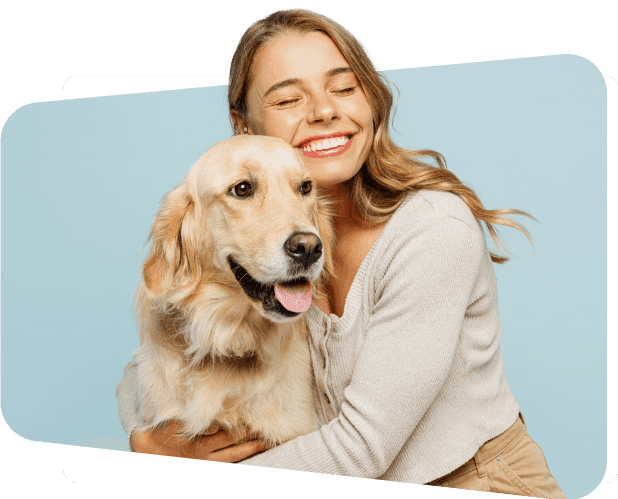 Wag! Email Marketing Success