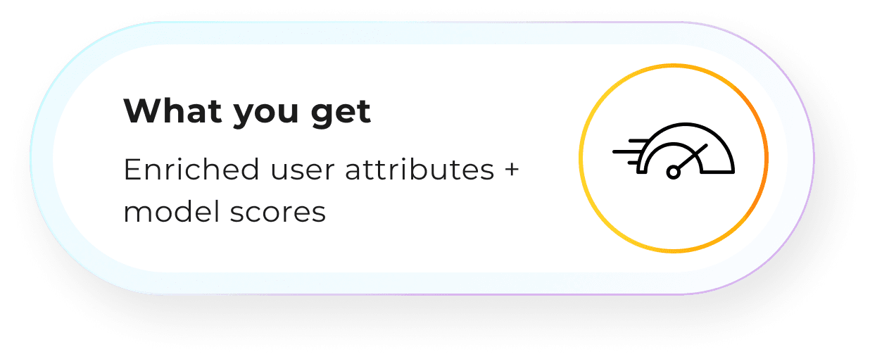 What you get: Enriched user attributes + model scores