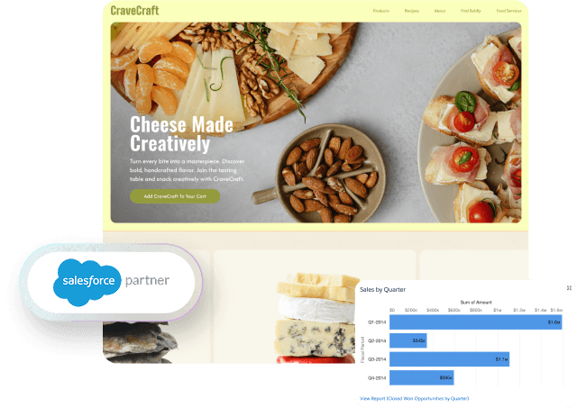 Salesforce Marketing Cloud services
