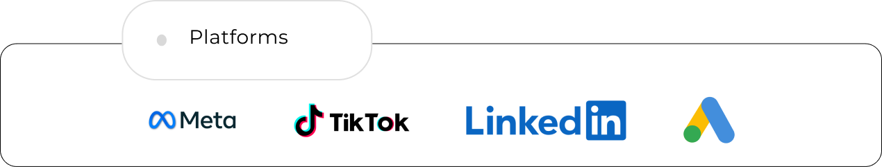 Platforms: Meta, TikTok, LinkedIn, Google Ads